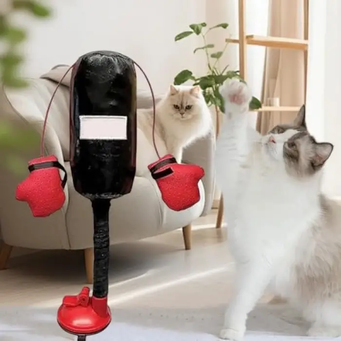 Kedi nanesi içeren mini boks torbası ve eldiven seti