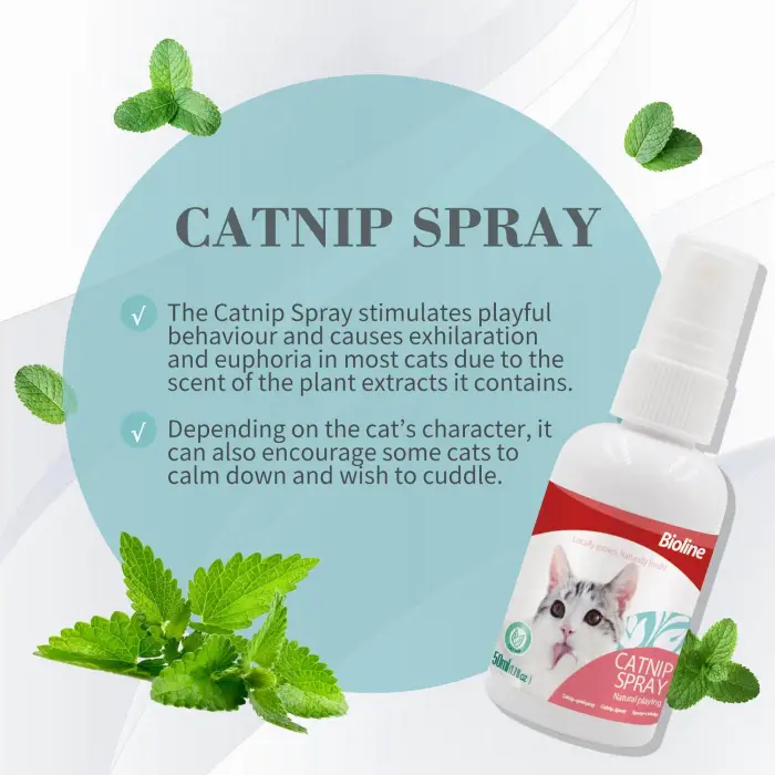 Kediler için Catnip Spreyi 50 ml