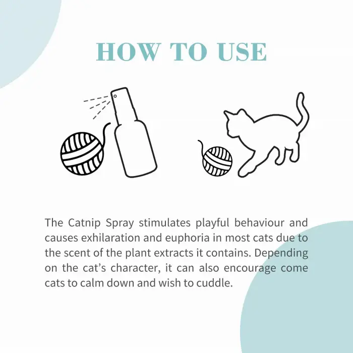 Kediler için Catnip Spreyi 50 ml