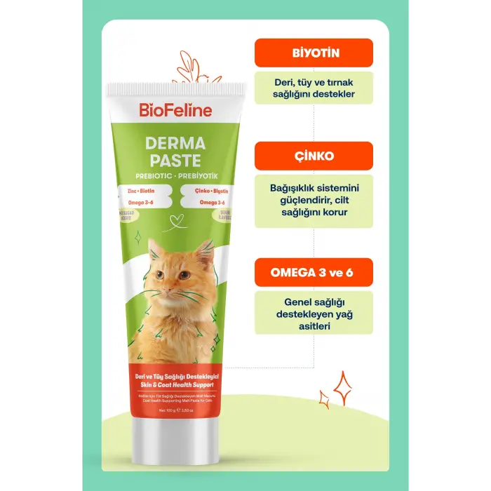 Kediler için Derma Paste 100g