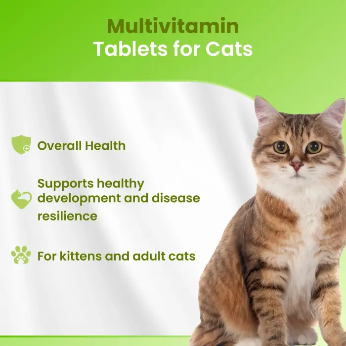 Kediler için Multivitamin 150 Tablet
