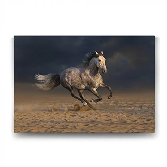 Kırçıllı At Görseliyle Dekoratif Tablo, 45x30 cm