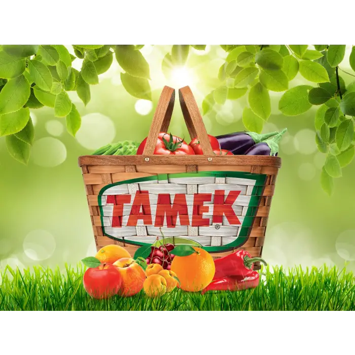 Konserve Mısır 210 g x 3 Adet