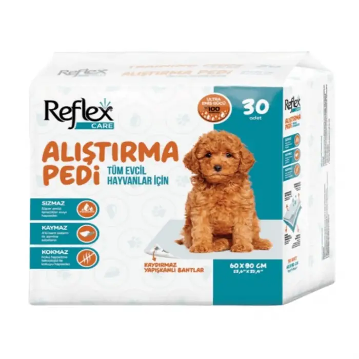 Köpek Alıştırma Pedi