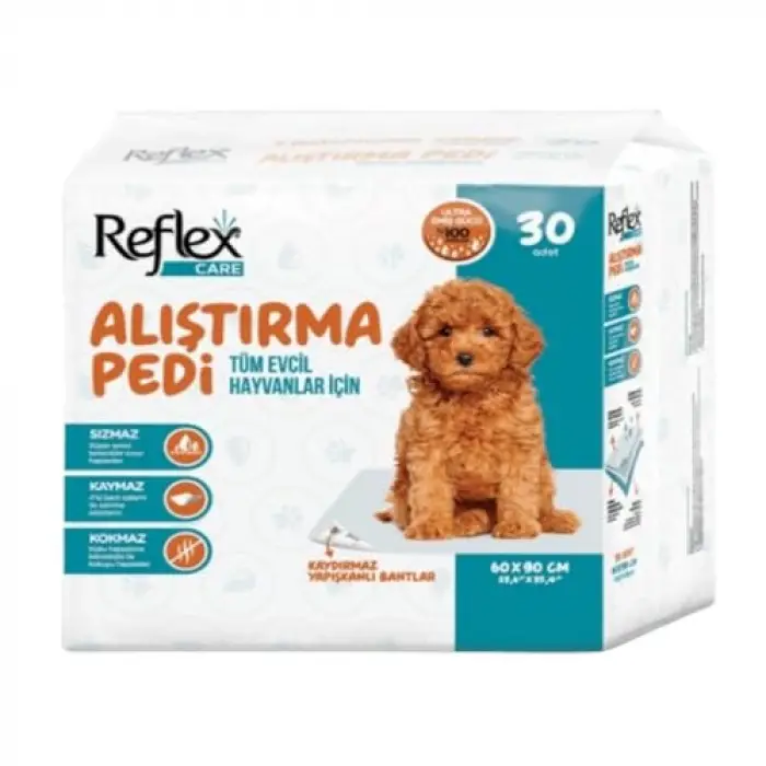 Köpek Alıştırma Pedi