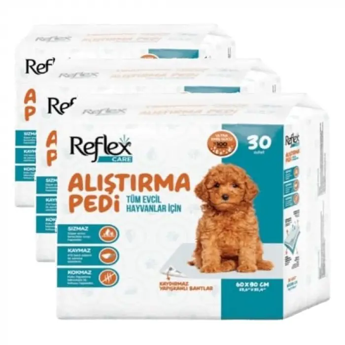 Köpek Alıştırma Pedi