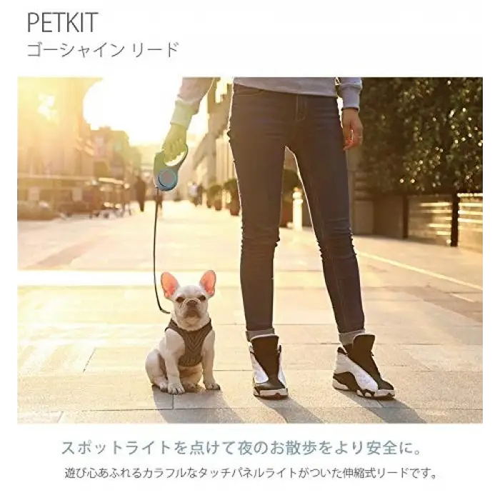 Köpek Tasması 3M