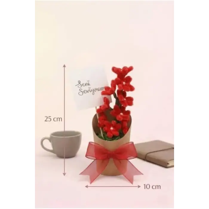Kraft Saksı, Şönil Çiçek Kırmızı