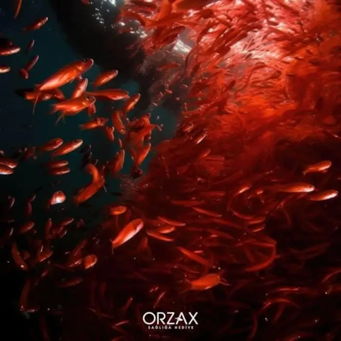 Krill Oil, 30 softjel kapsül