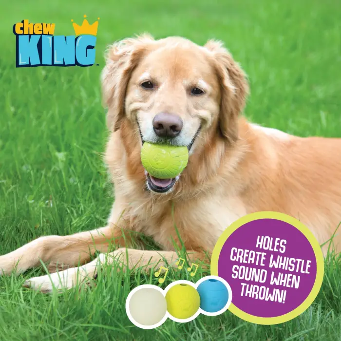 Küçük 2.5 köpek getirme topu combo