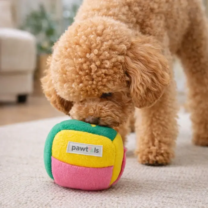 Küçük ırklar için mini interaktif köpek koklama oyuncağı