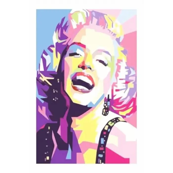 Kuşe Kağıt Duvar Posteri Retro Vintage Drtr0068