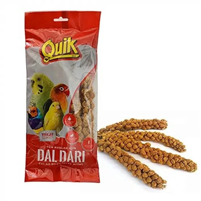 Kuşlar için Doğal Dal Darı