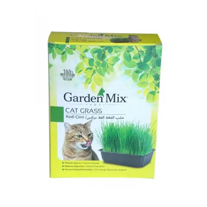 Kutu Kedi Çimi, Kahverengi, 1