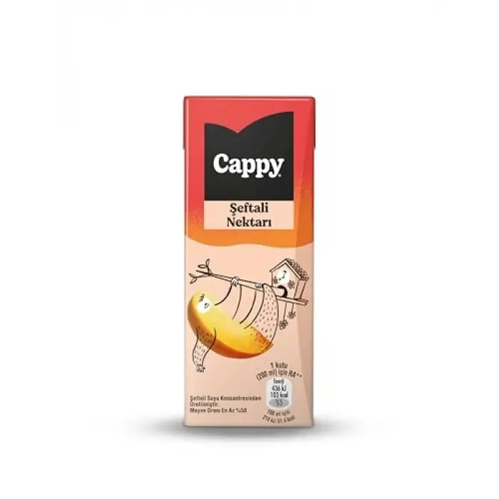 Kutu, Şeftali Nektarı Karton 27x200 ml