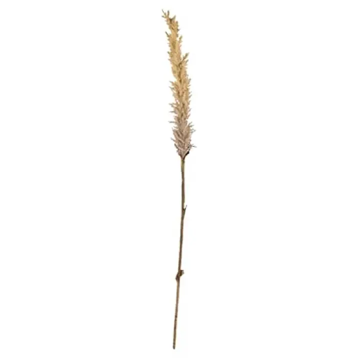 Kvist Grasses Light Decor, 100 cm, Doğal
