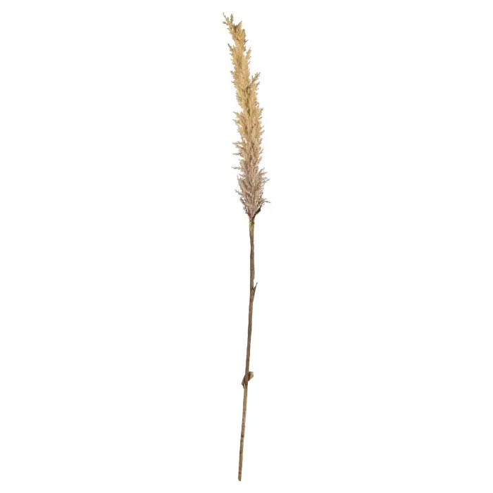 Kvist Grasses Light Decor, 100 cm, Doğal