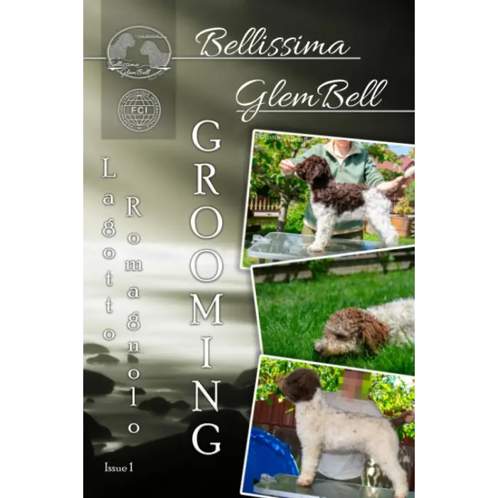 Lagotto Romagnolo Tımar Rehberi