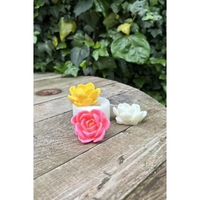 Laui Sukulent Mum Kalıbı (Silikon)