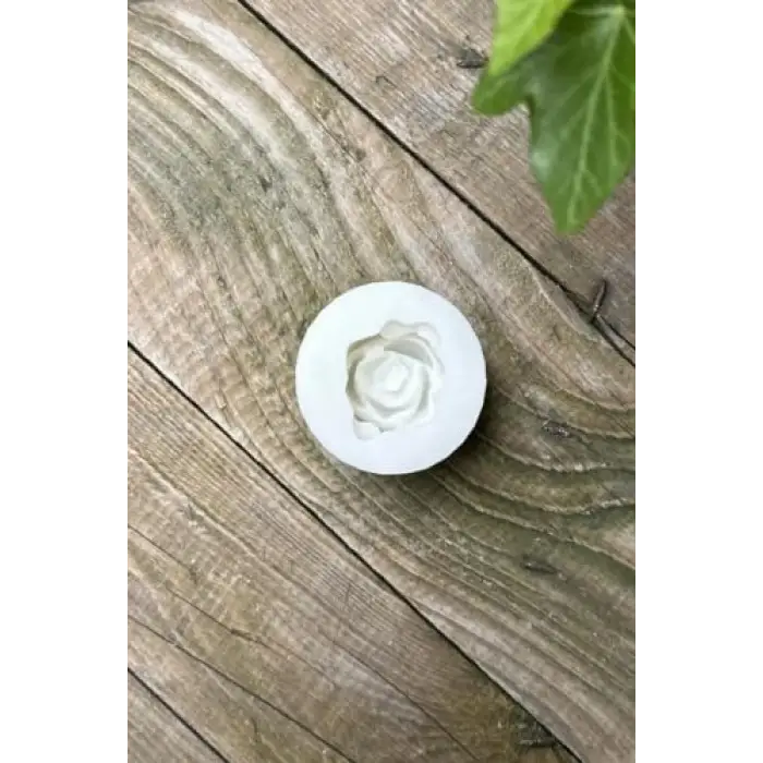 Laui Sukulent Silikon Mum Kalıbı