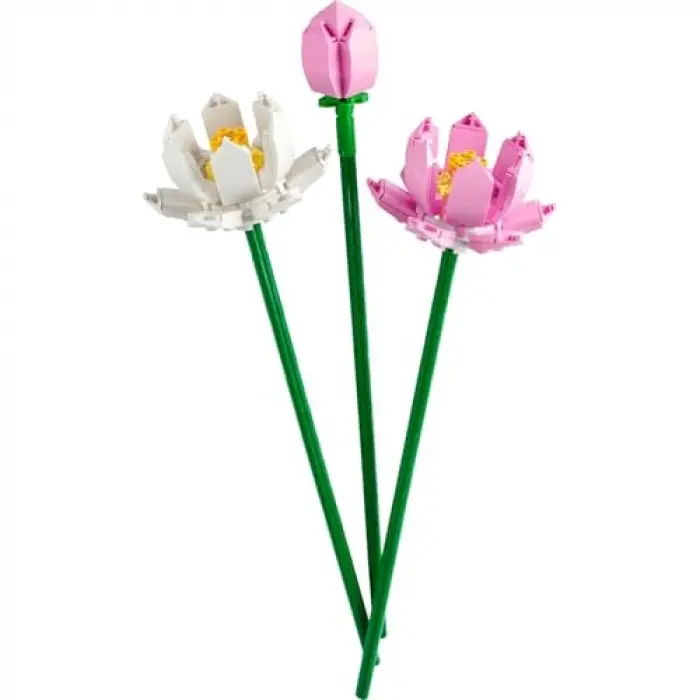 LEGO 40647 Botanicals Lotus Çiçekleri