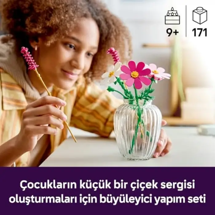 LEGO Botanicals Kozmos Çiçekleri 11514
