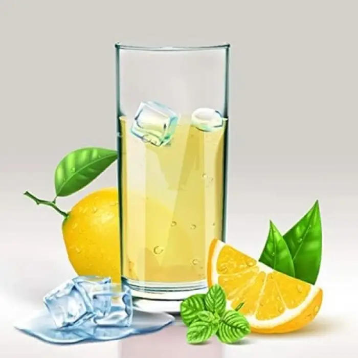 Limon Aromalı Toz İçecek 450 g