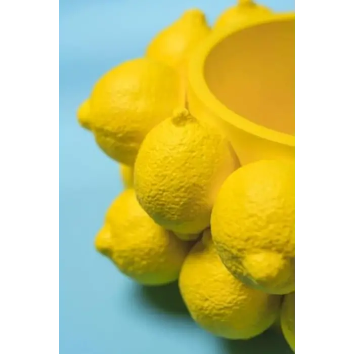 Limon Yatay Silikon Mum Kalıbı