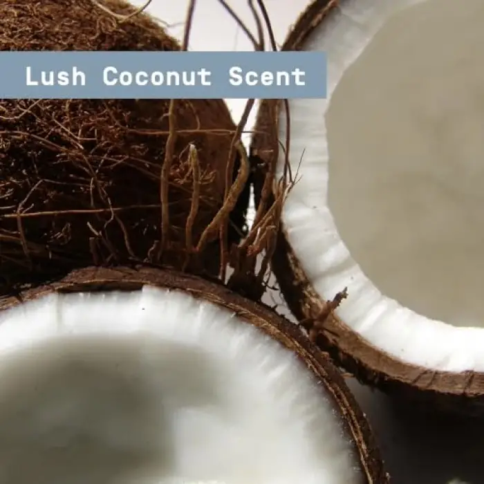 Lush Coconut Ferahlatıcı Duş Jeli 828Ml
