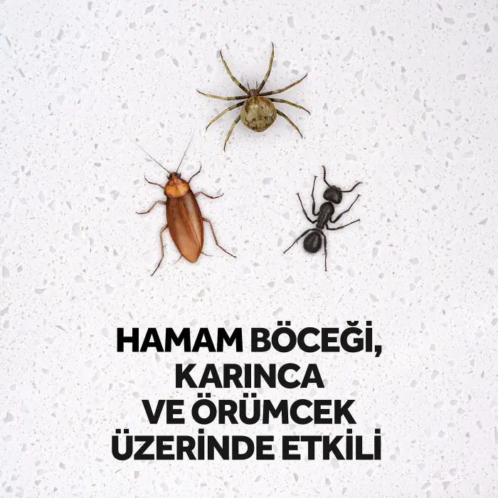 Max Böceksavar Sprey 300 ml Bitkisel Takviye