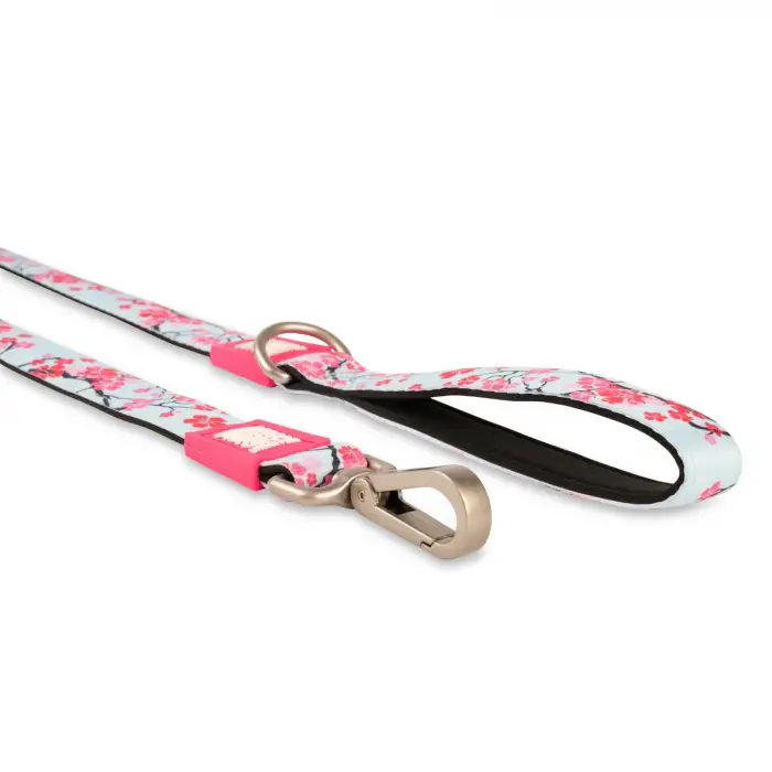 Max & Molly Tasma; Cherry Bloom, S