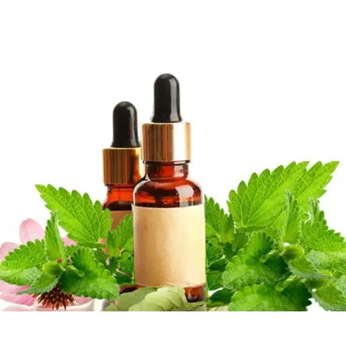 Melissa Esansı 20 Ml