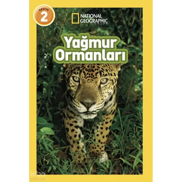 Mey İthalat® Yağmur Ormanları