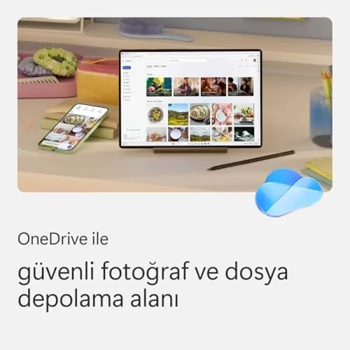 Microsoft 365 Bireysel Türkçe, Yazılım