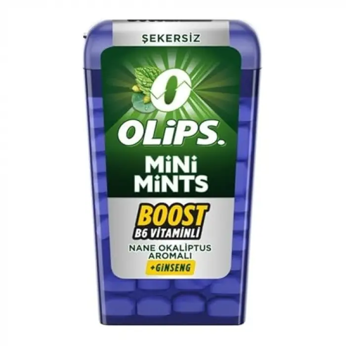 Mini Mints Nane & Ginseng Aromalı Şekersiz Şeker 12.5g, 12 Adet