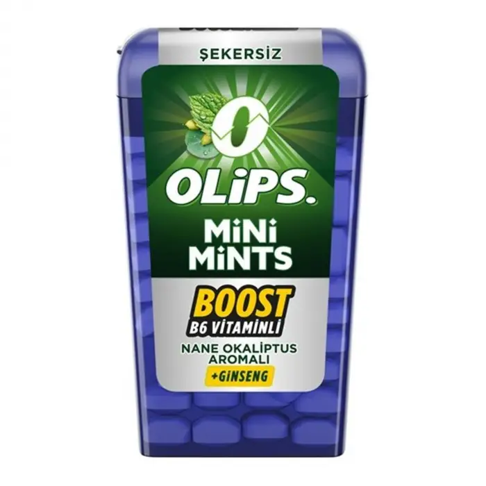 Mini Mints Nane & Ginseng Aromalı Şekersiz Şeker 12.5g, 12 Adet