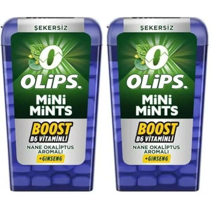 Mini Mints Nane & Ginseng Aromalı Şekersiz Şeker 12.5g, 12 Adet