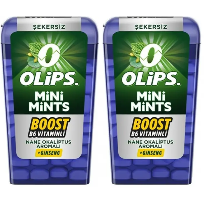 Mini Mints Nane & Ginseng Aromalı Şekersiz Şeker 12.5g, 12 Adet