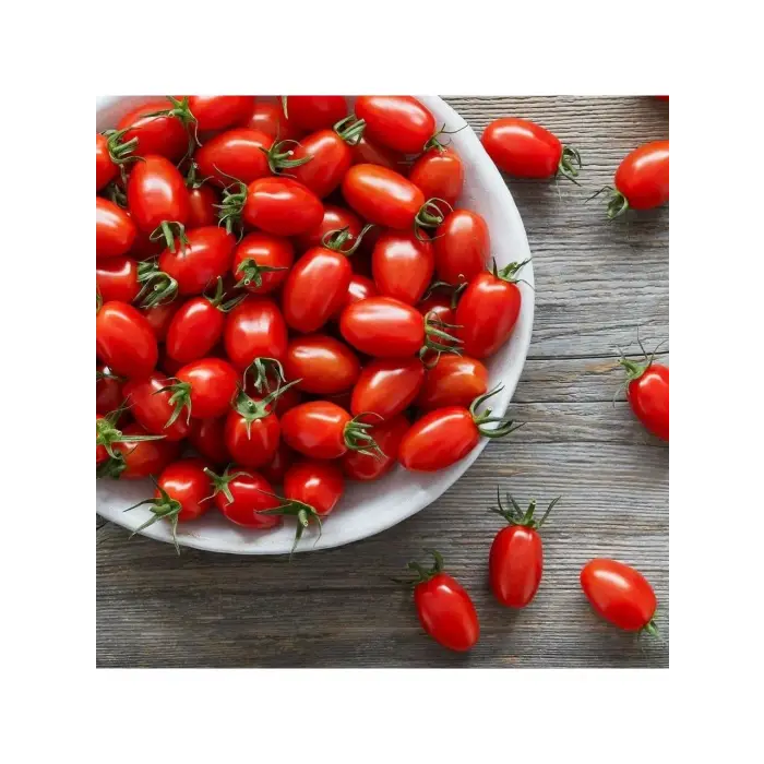 Mini Üzüm Cherry Domates 10 Fide Saksısı