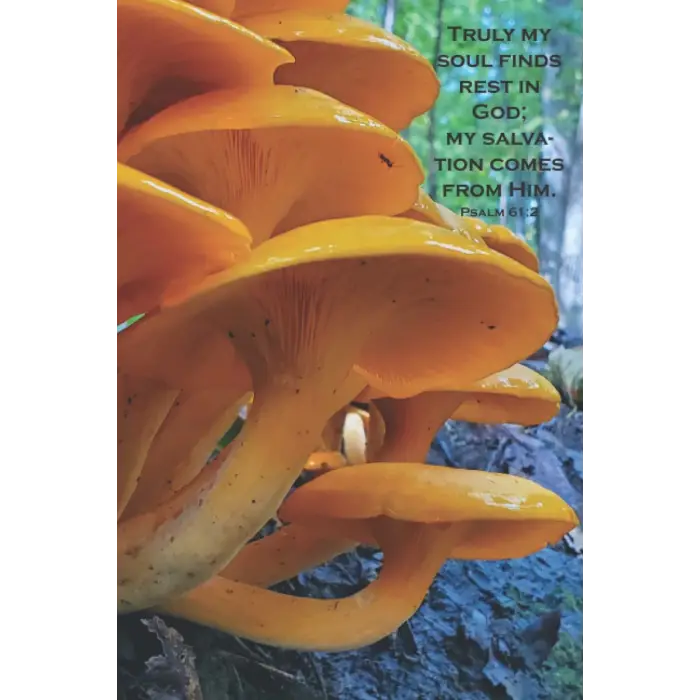 Mushroom Daily Journal with Bible Verse: Psalm 61:2