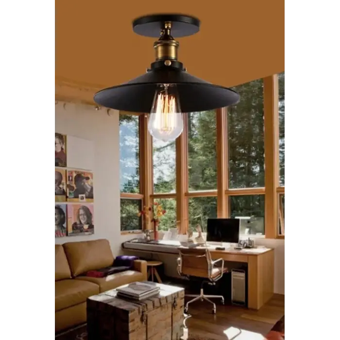 Mylights Retro Rustik 30 Cm Tavan Armatür Avize Rustik Tavan Plofonyer