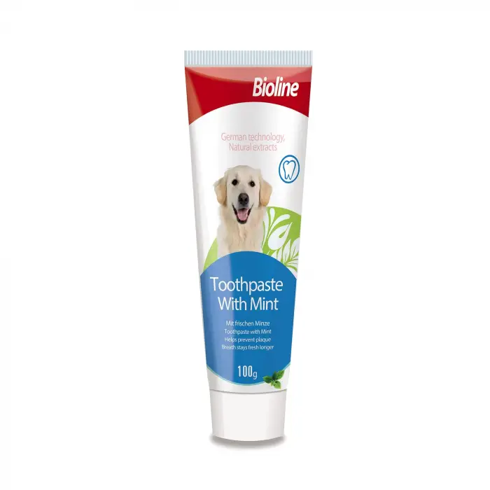 Nane Aromalı Diş Macunu 100 Gr