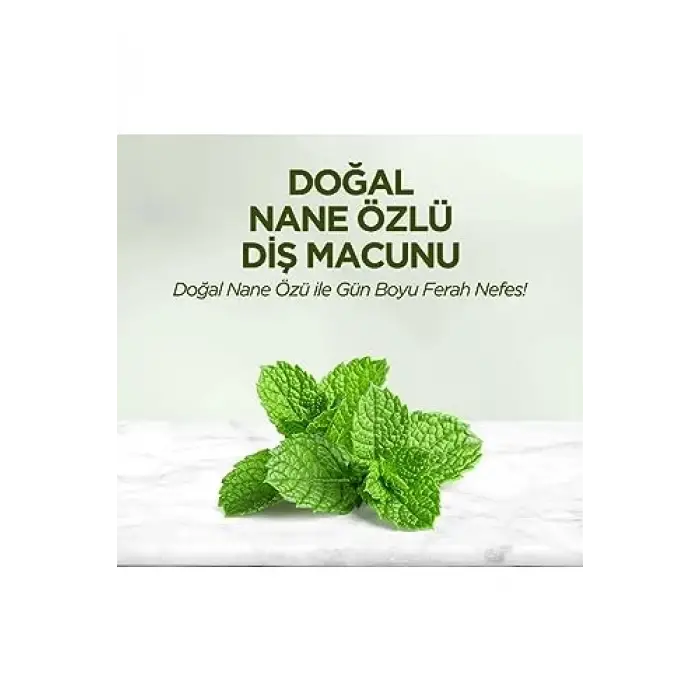 Nane Özlü Diş Macunu 90 ml x 6 Adet