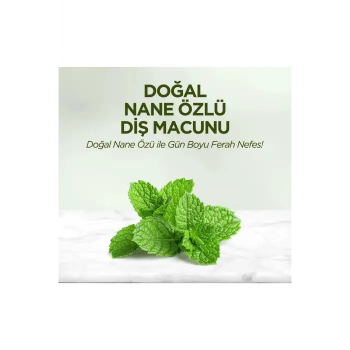 Nane Özlü Diş Macunu 90 ml x 6 Adet