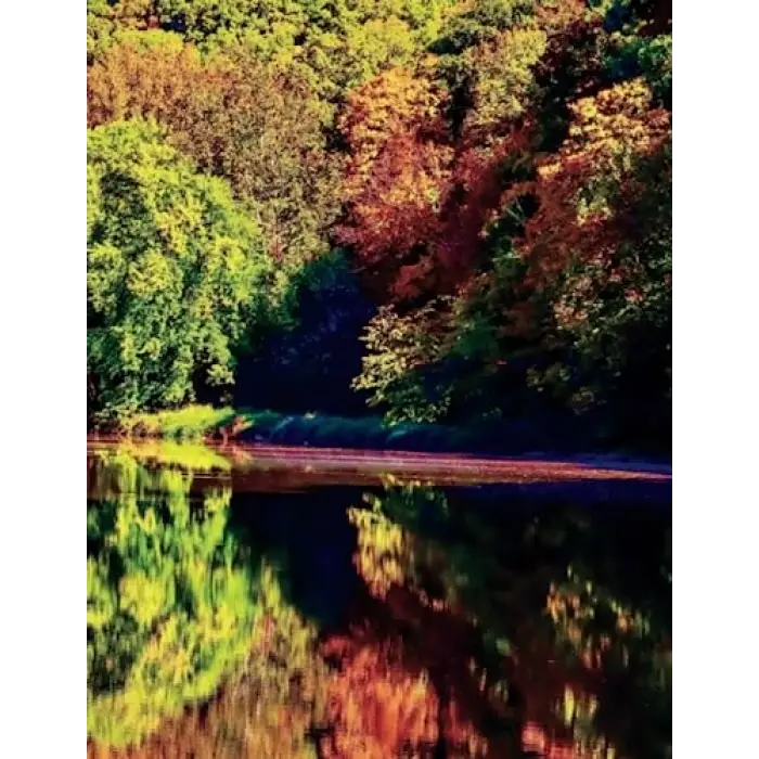 Nature Daily Journal
