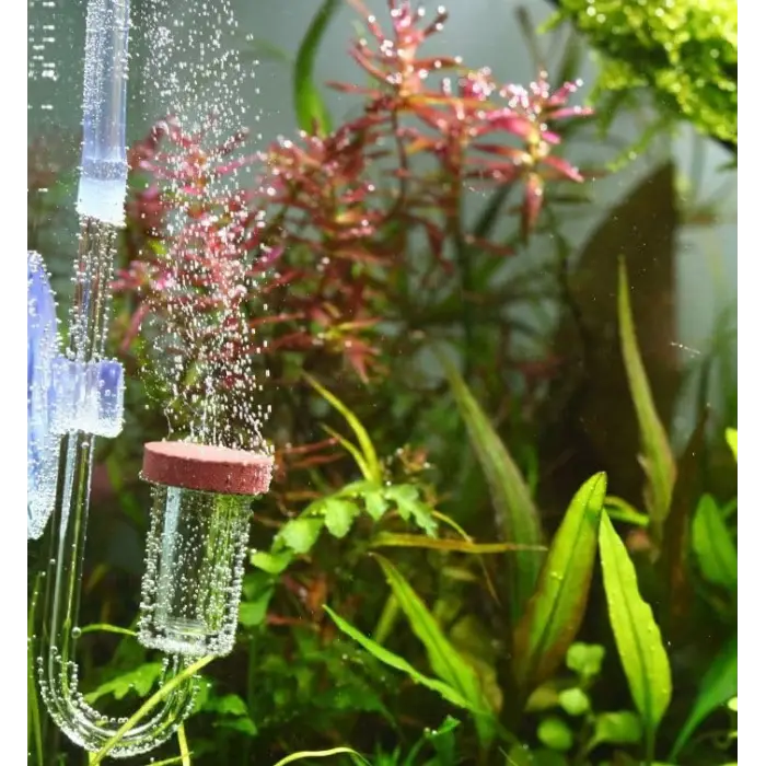 Neo Co2 Diffuser Normal Original L