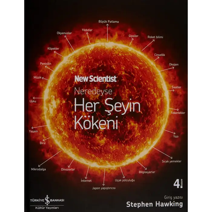 Neredeyse Her Şeyin Kökeni