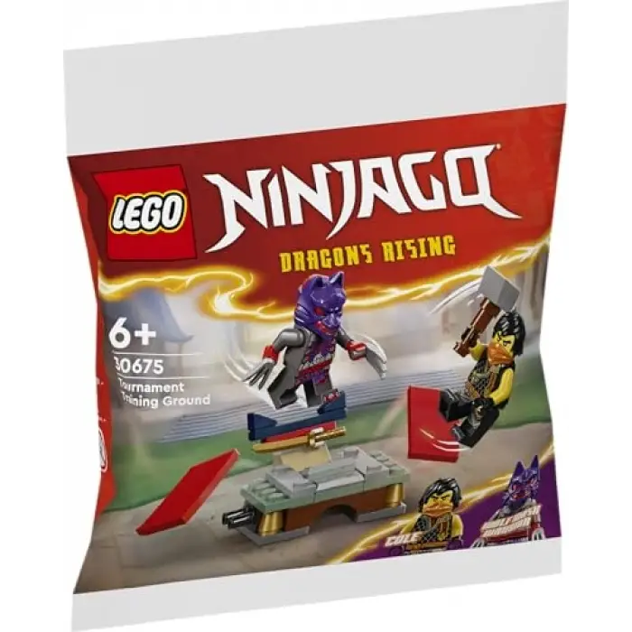 Ninjago 30675 Tournament Training Ground