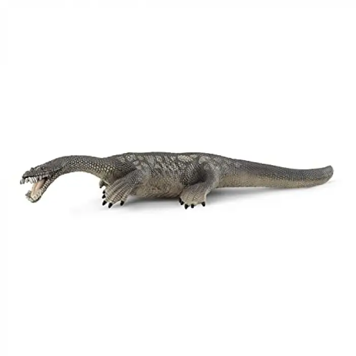 Notozorus