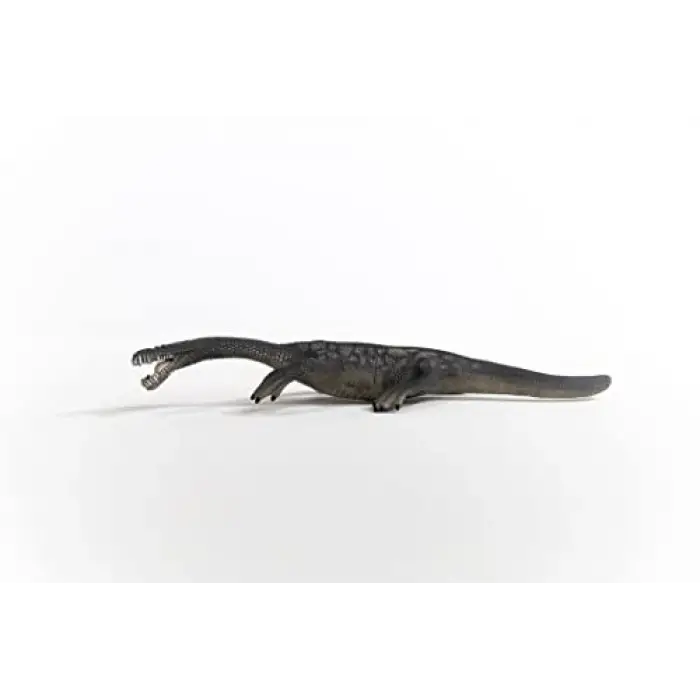 Notozorus